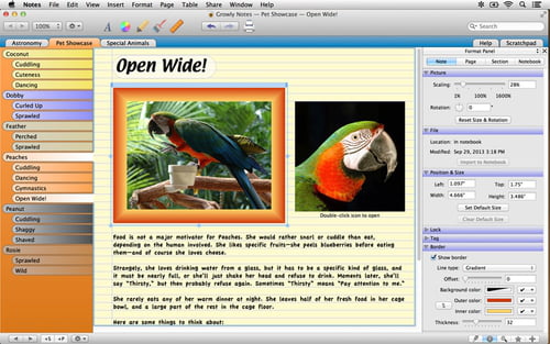 Download Notes For Mac Free
